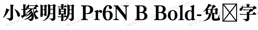 小塚明朝 Pr6N B Bold字体转换